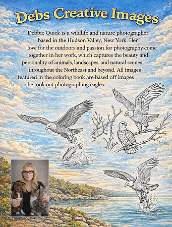 1 bald eagle coloring book back page