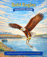 1 bald eagle coloring book front page