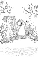 9 bald eagle coloring page