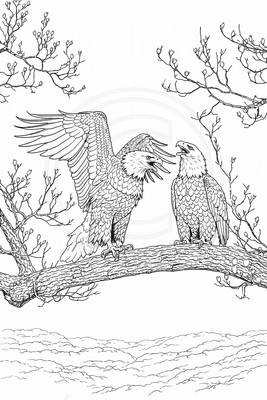 9 bald eagle coloring page