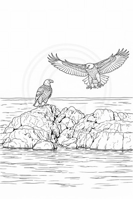 10 bald eagle coloring page