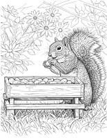 2a gray squirrel