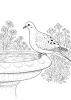 7a morning dove (AF3A8707) April 16, 2019