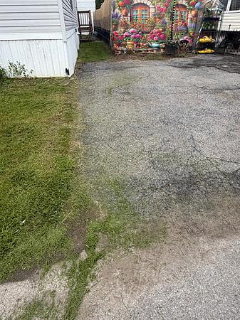 driveway mess