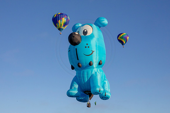 38 balloon festival (AF3A0278) September 23, 2018