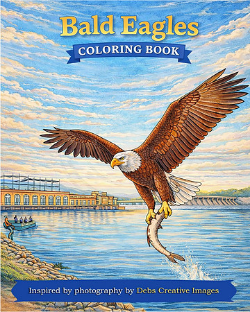 Bald Eagles Front Cover