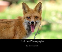 cover_3