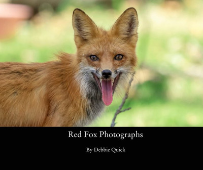 Red Fox Coffee Table Book