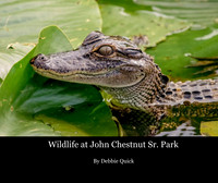 cover_2