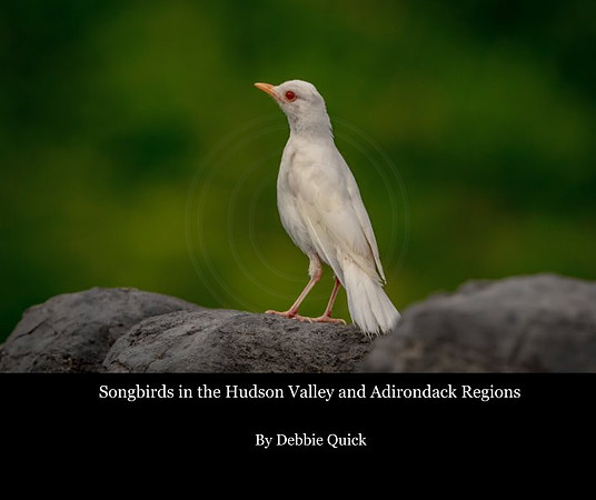 cover_5