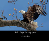 cover_7
