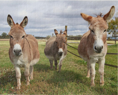 Three Donkey's Puzzle