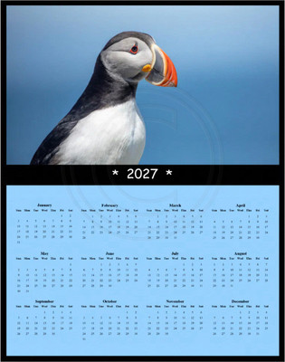 wall calendar