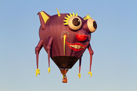 Hot Air Balloon