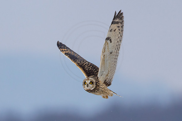 151 seo (IMG_0652) January 28, 2022