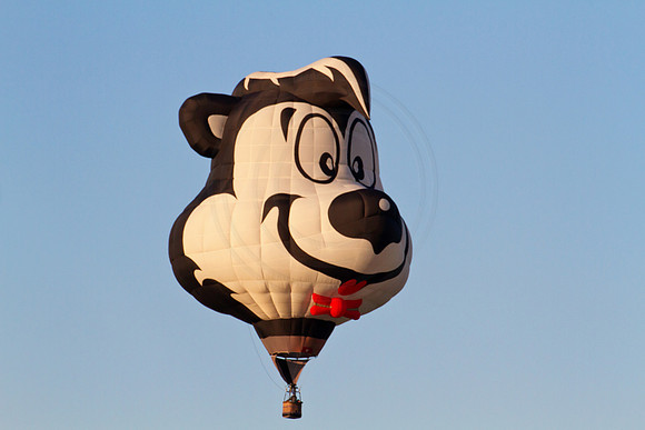 Hot Air Balloon