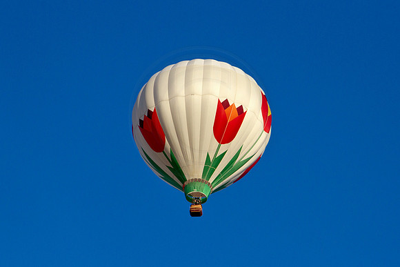 Hot Air Balloon