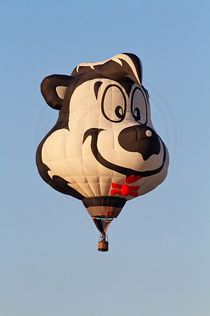 Hot Air Balloon