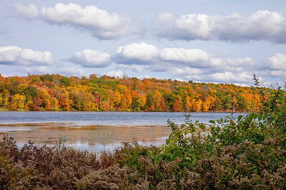 1 fall foliage (AF3A4382) October 18, 2020