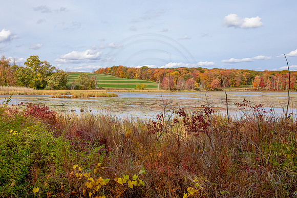 3 fall foliage (AF3A4414) October 18, 2020