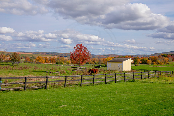 4 fall foliage (AF3A4433) October 18, 2020