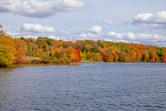 2 fall foliage (AF3A4407) October 18, 2020