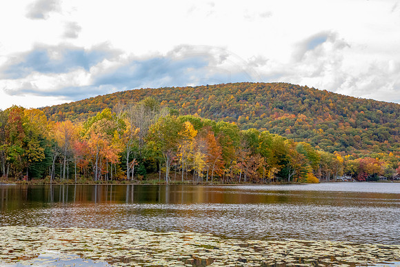 6 fall foliage (AF3A4447) October 18, 2020