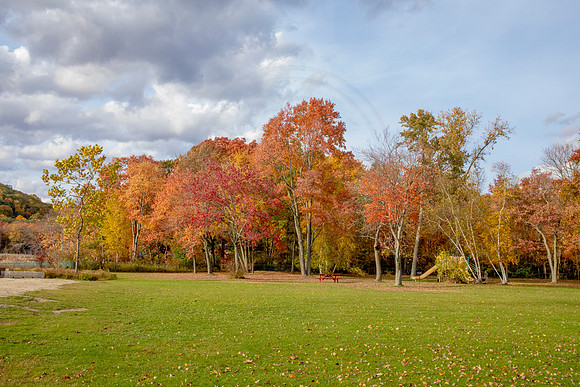 7 fall foliage (AF3A4475) October 18, 2020