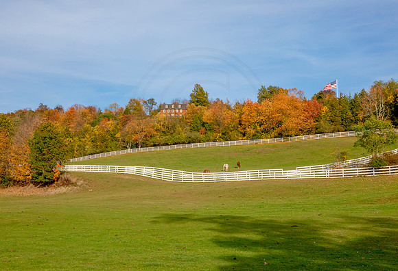 8 fall foliage (AF3A4492) October 18, 2020