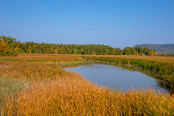 4 fall foliage (AF3A3802) September 25, 2020