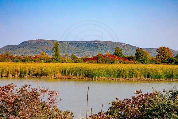 5 fall foliage (AF3A3771) September 25, 2020
