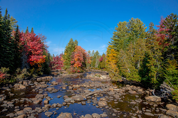 6 fall foliage (AF3A4037) September 26, 2020