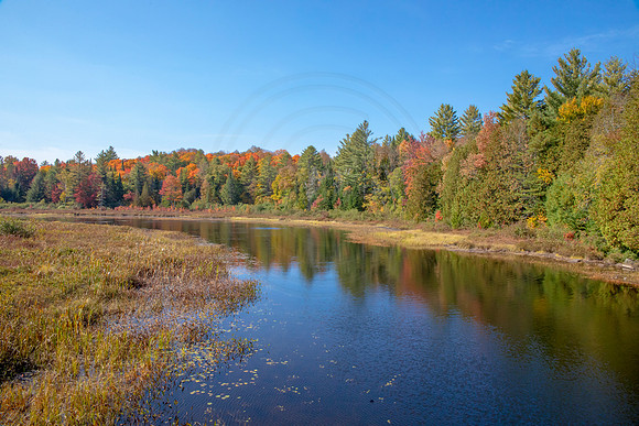 8 fall foliage (AF3A3955) September 26, 2020