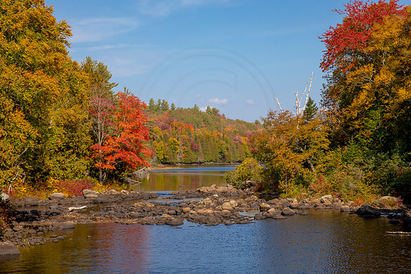 9 fall foliage (AF3A3978) September 26, 2020