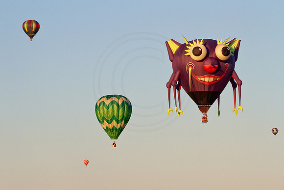 Hot Air Balloon