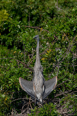 1018 gbh (6F3A3341) April 18, 2021